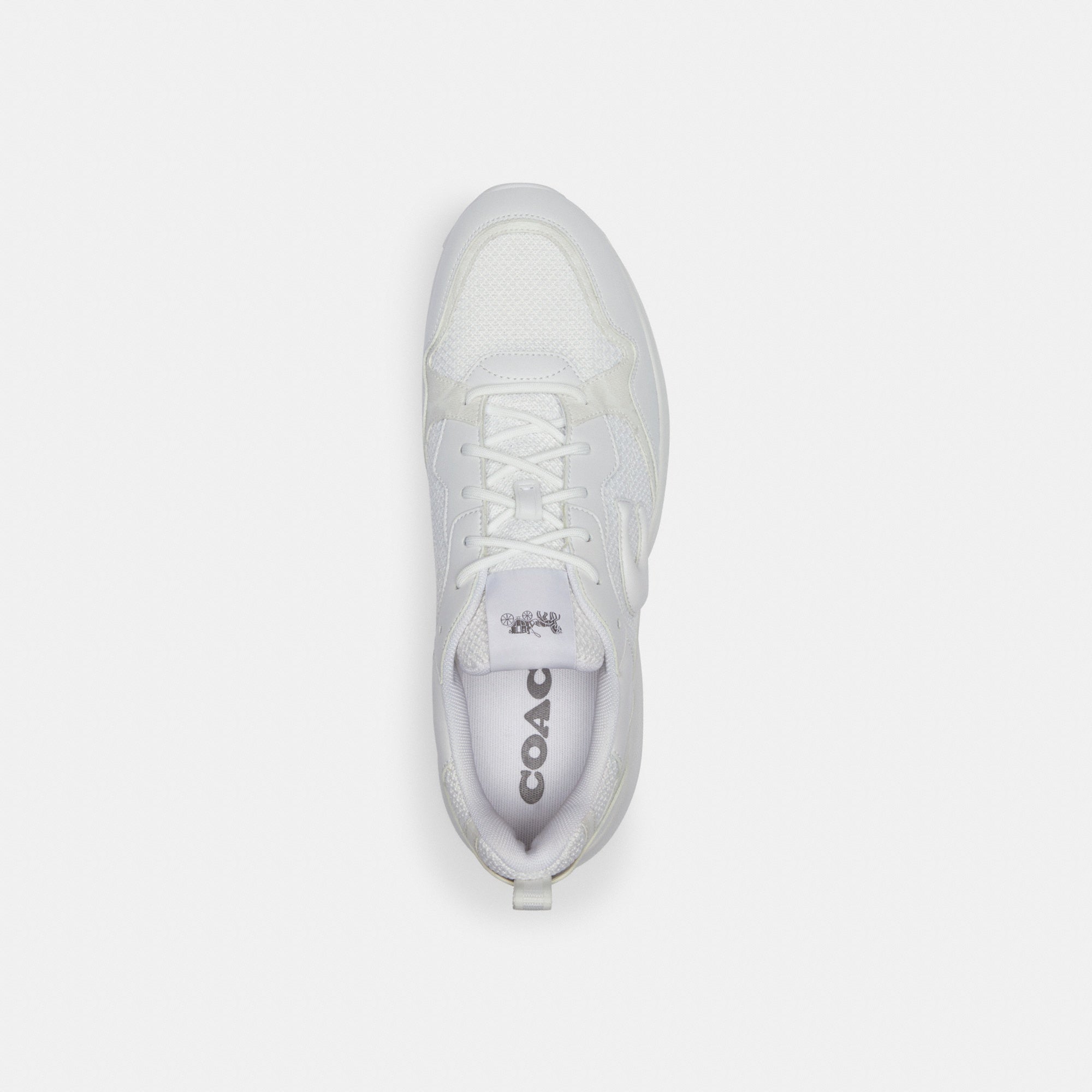 Strider Sneaker In Signature Canvas