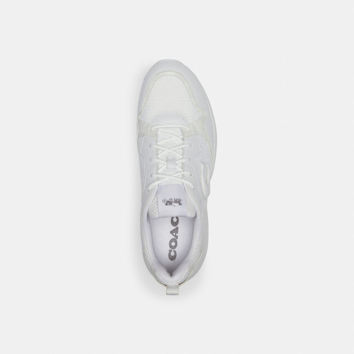 Strider Sneaker In Signature Canvas
