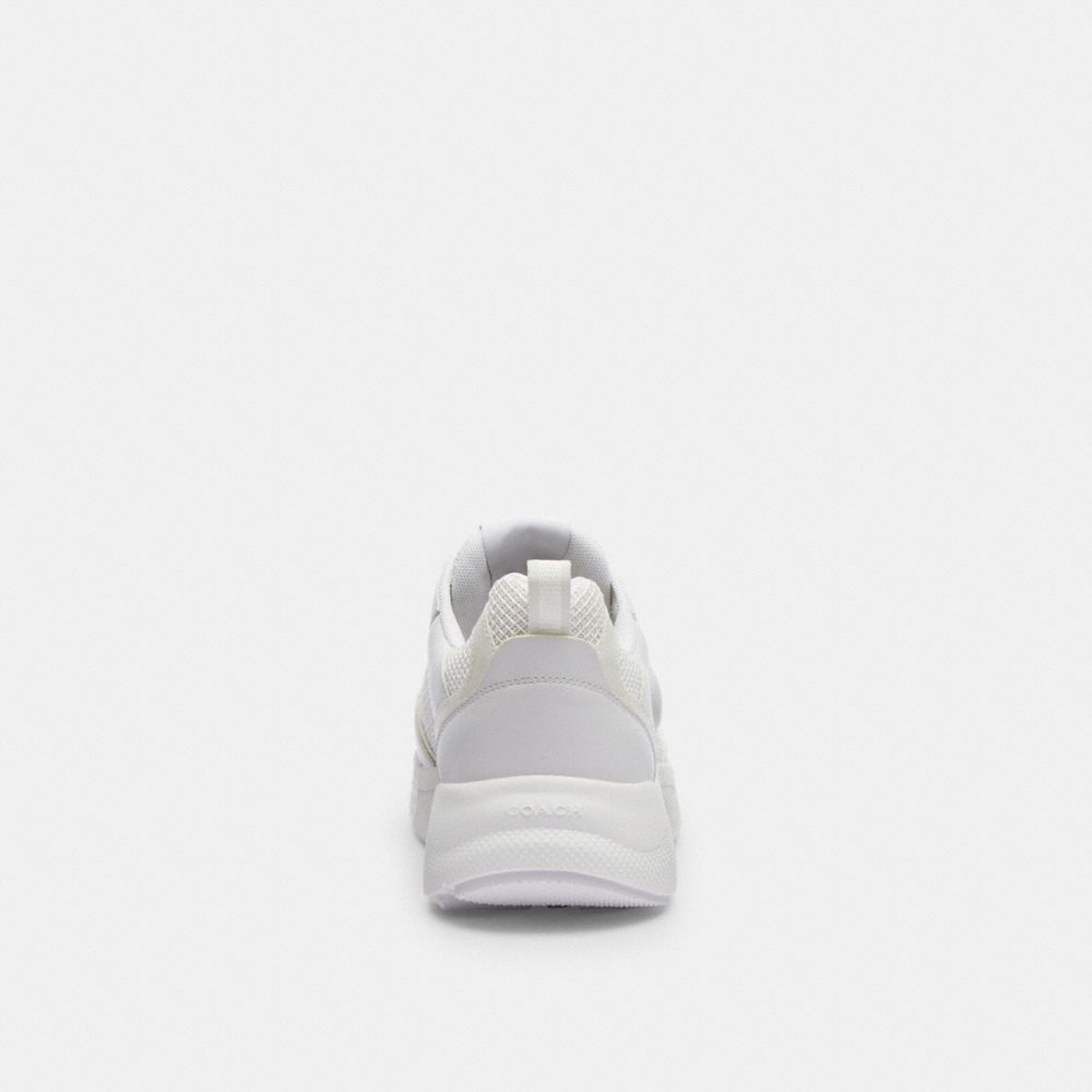 Strider Sneaker In Signature Canvas