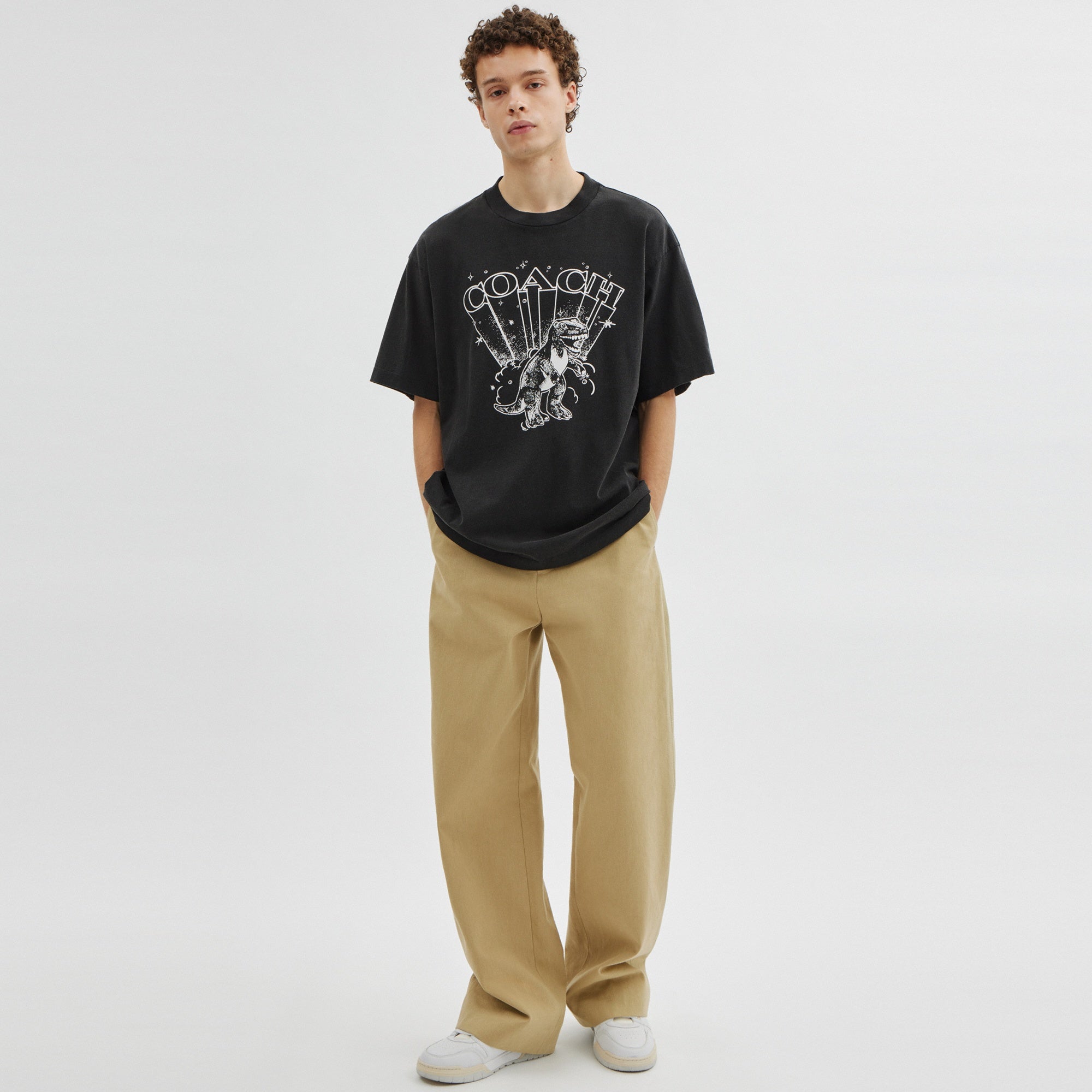 T-Rex Relaxed T-Shirt In Organic Cotton
