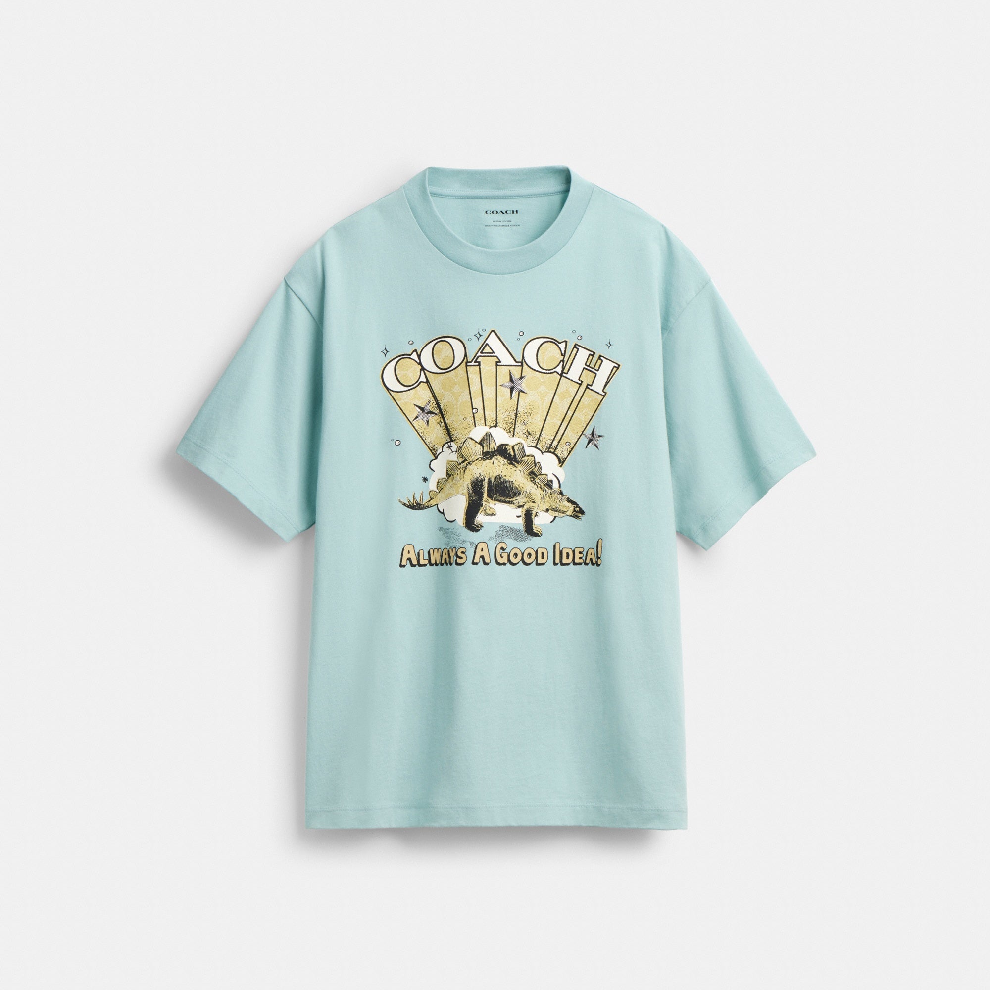 Stegosaurus Relaxed T-Shirt In Organic Cotton