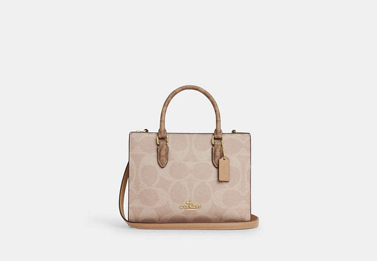 Maggie Small Tote Bag In Blocked Signature Canvas