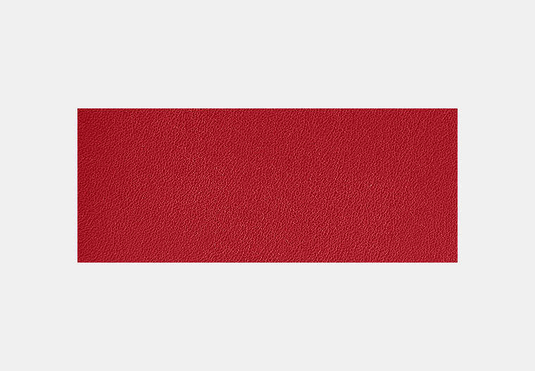 3-In-1 Wallet