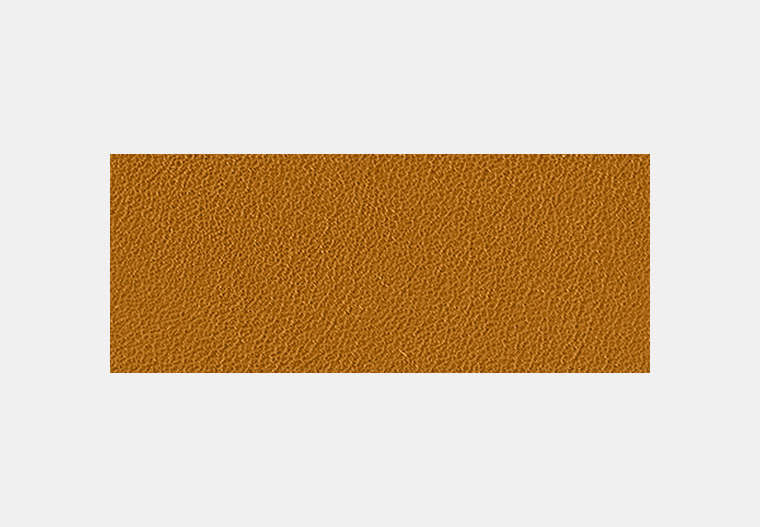 3-In-1 Wallet