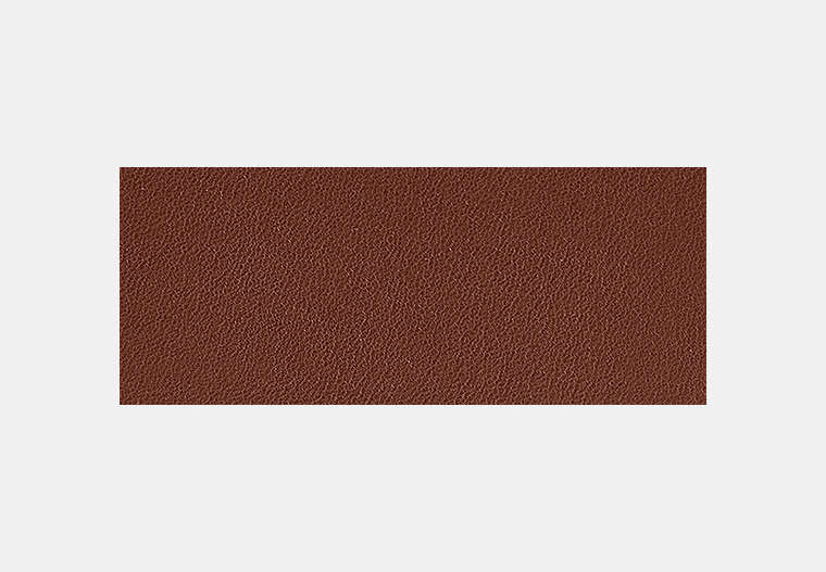 3-In-1 Wallet