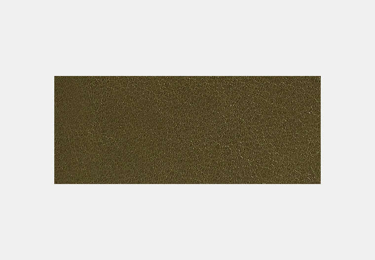 Card Wallet