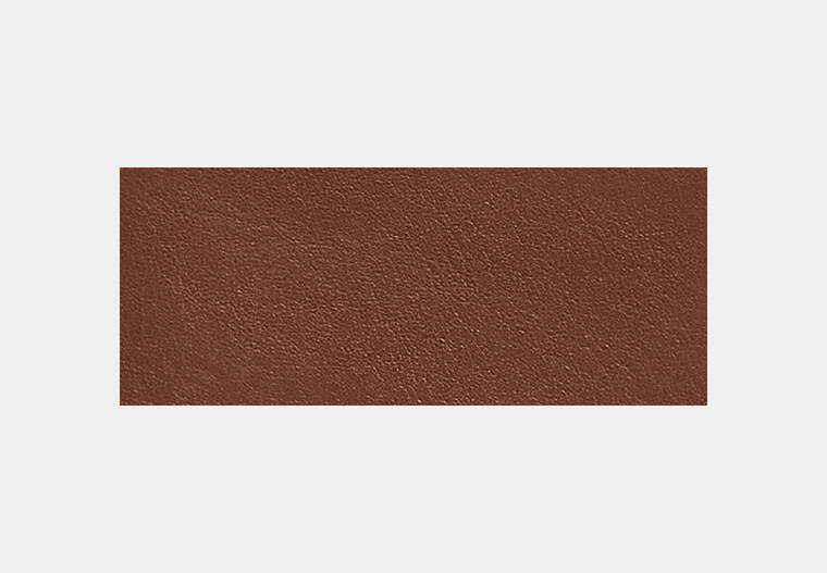 Passport Case