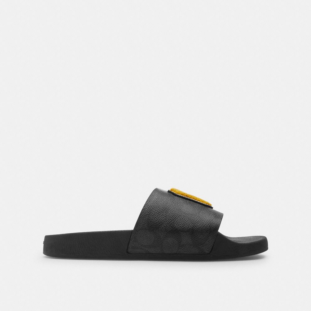 Slide In Signature Canvas