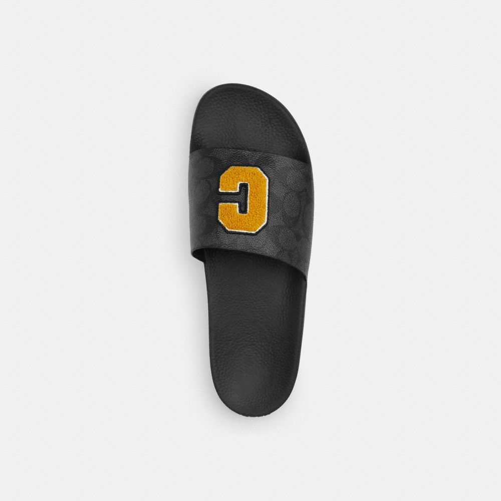 Slide In Signature Canvas