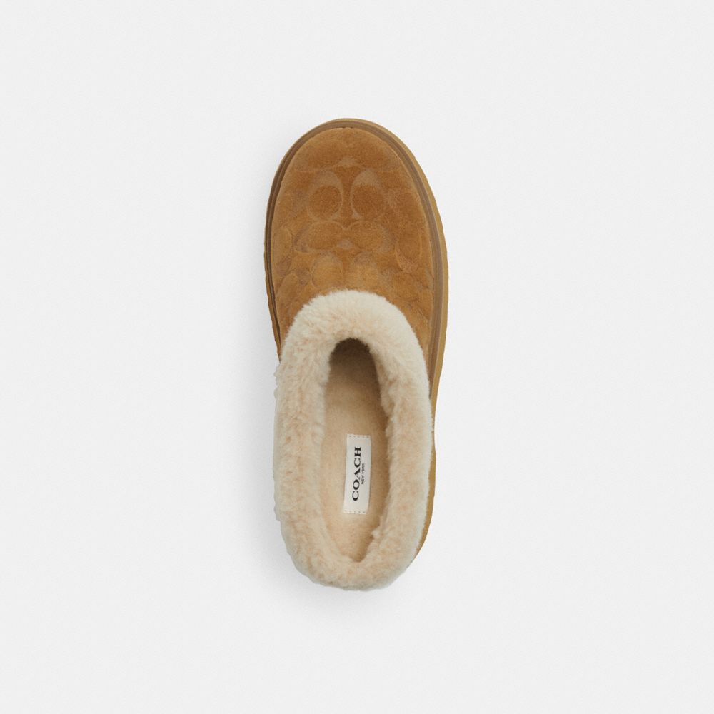 Cecelia Clog In Signature Suede