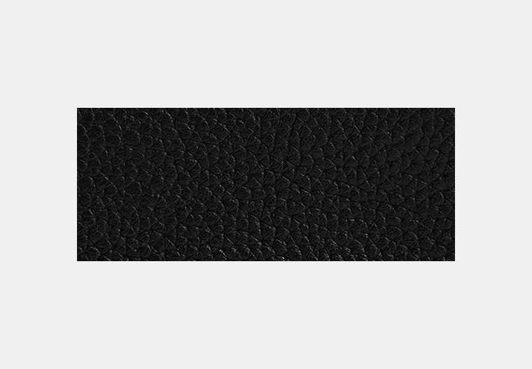 3-In-1 Wallet With Coach Graphic