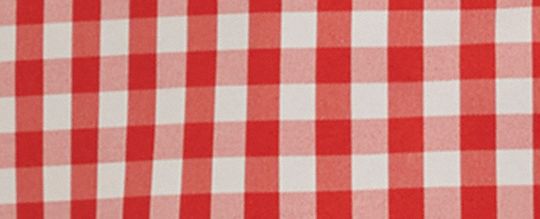 Coachtopia Loop Gingham Tie-Front Shirt