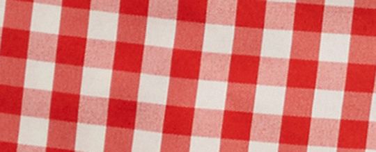 Coachtopia Loop Gingham Boxer Shorts