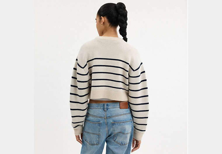 Cursive Signature Striped Cropped Sweater