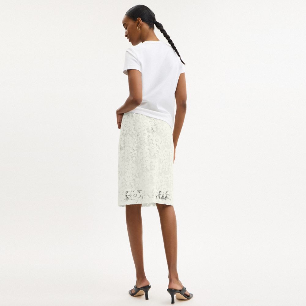 Lace Skirt