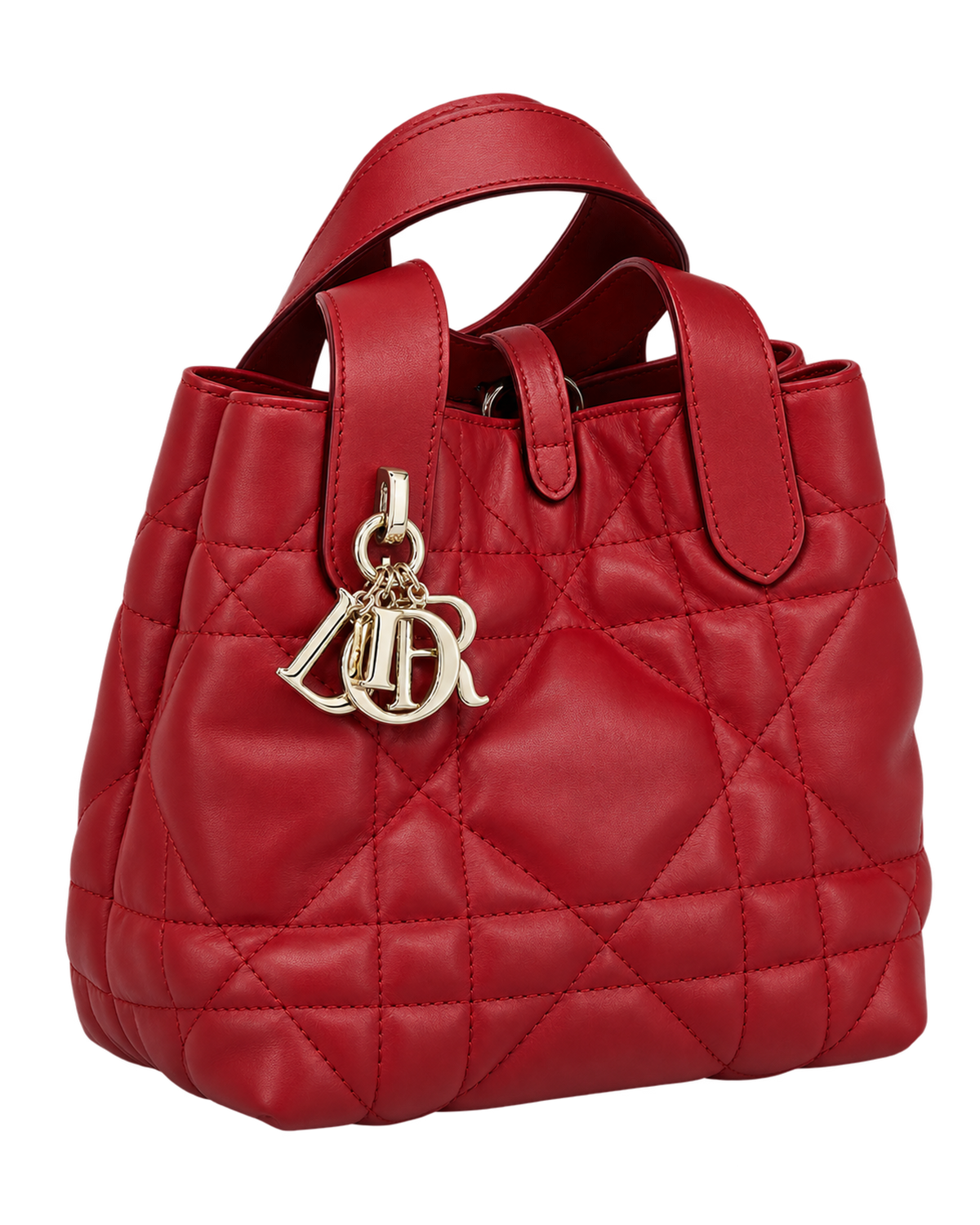Dior Toujours Vertical Tote Bag