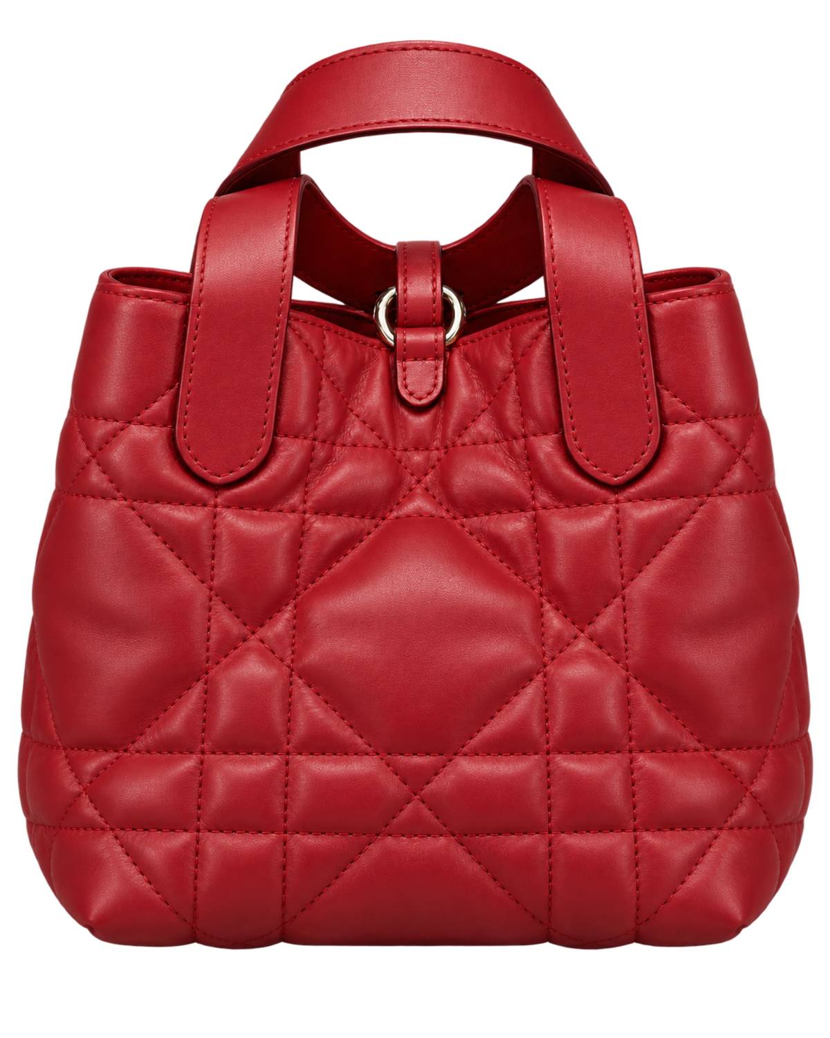Dior Toujours Vertical Tote Bag