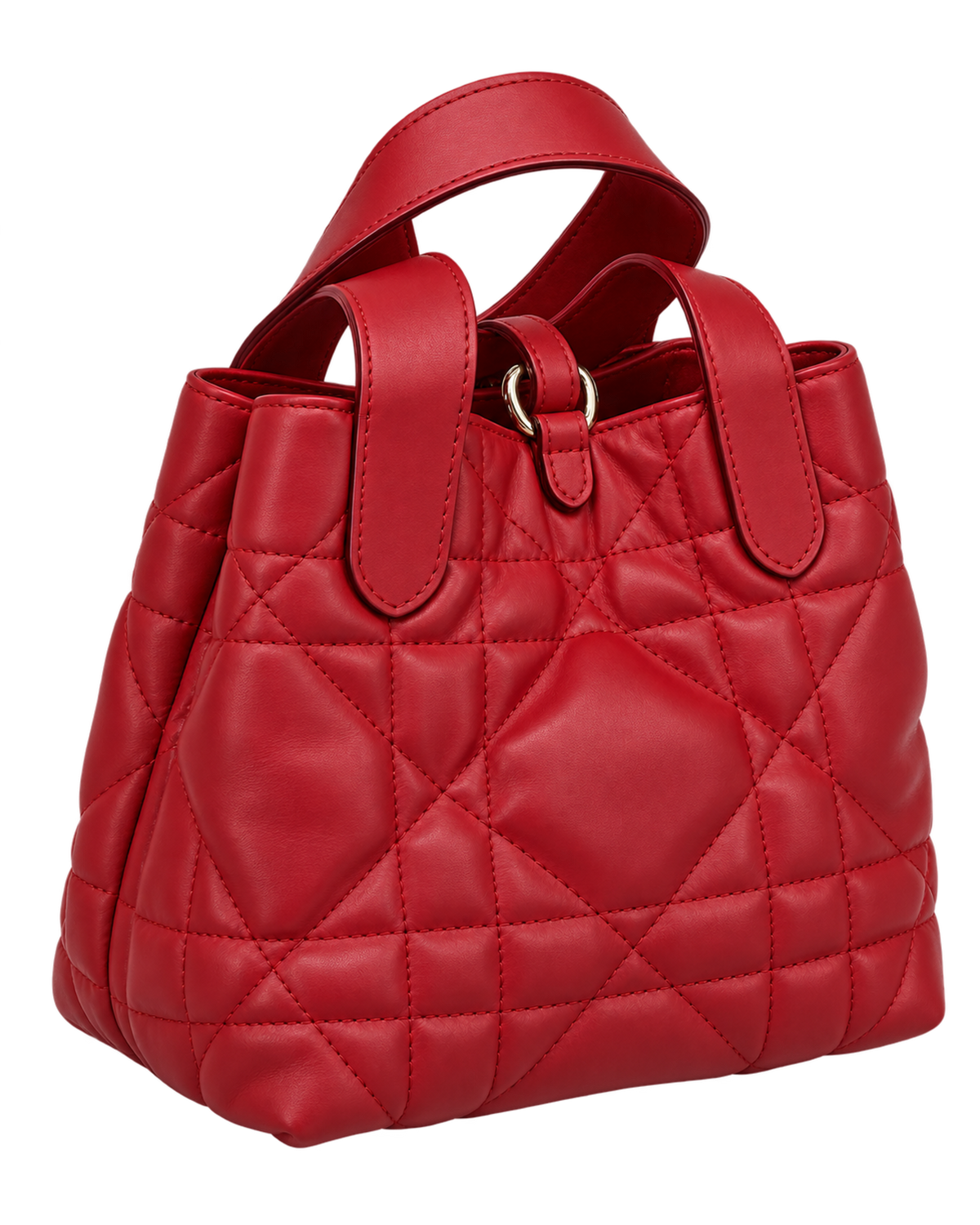 Dior Toujours Vertical Tote Bag