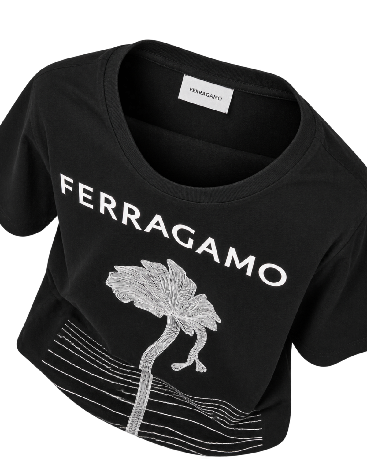 Ferragamo Printed Cotton T-Shirt