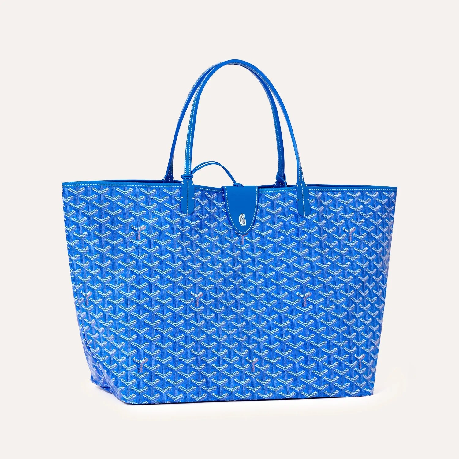 Saint Louis GM Bag