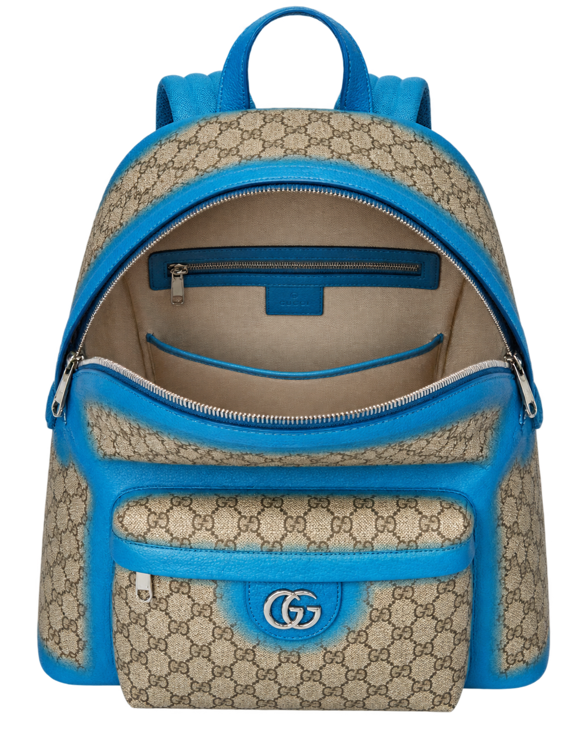 Gucci Ophidia leather bag