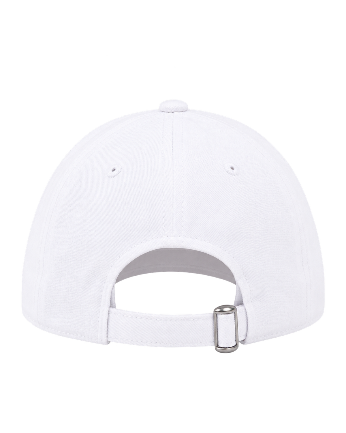 Health is Wealth Hat - White/Azure