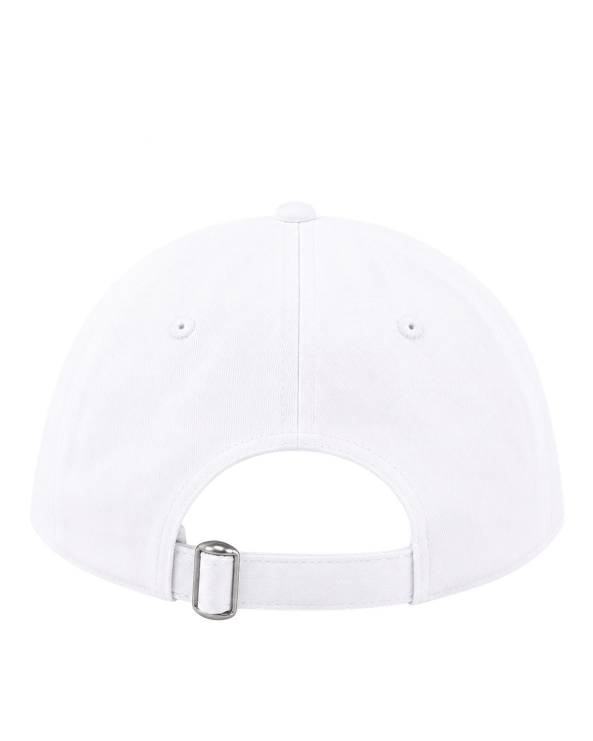 Health is Wealth Hat - White/Azure