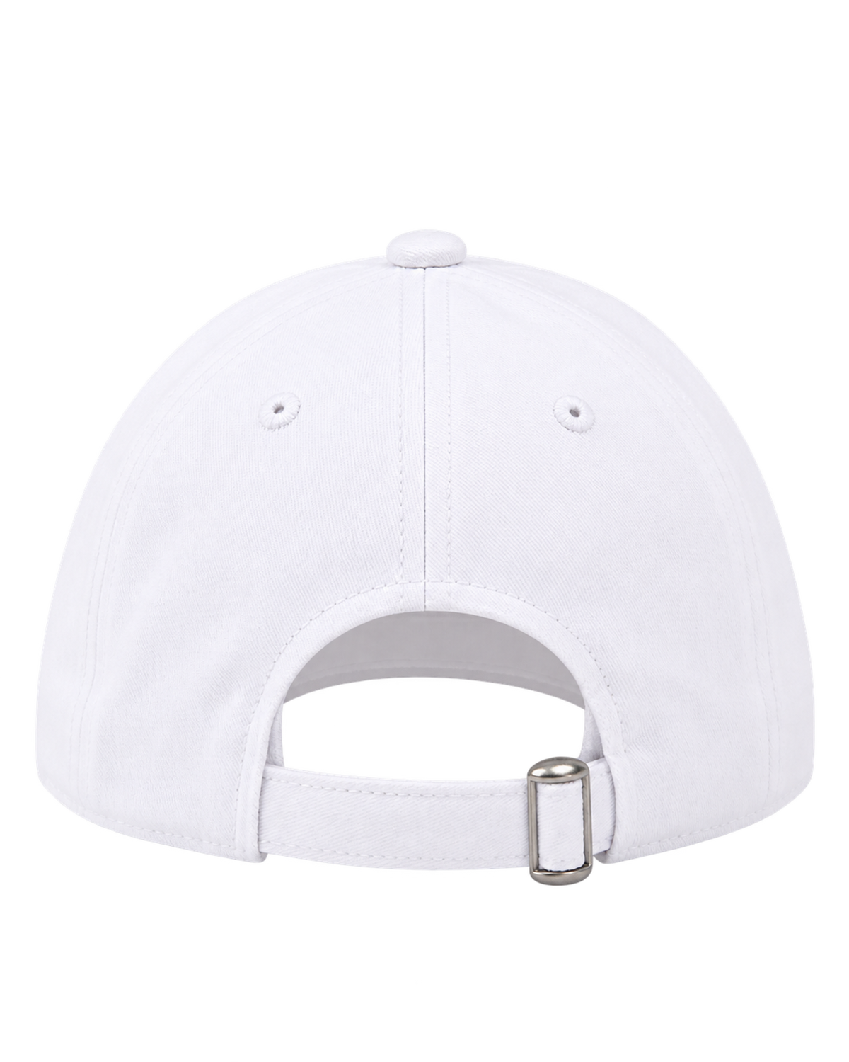 Health is Wealth Hat - White/Azure