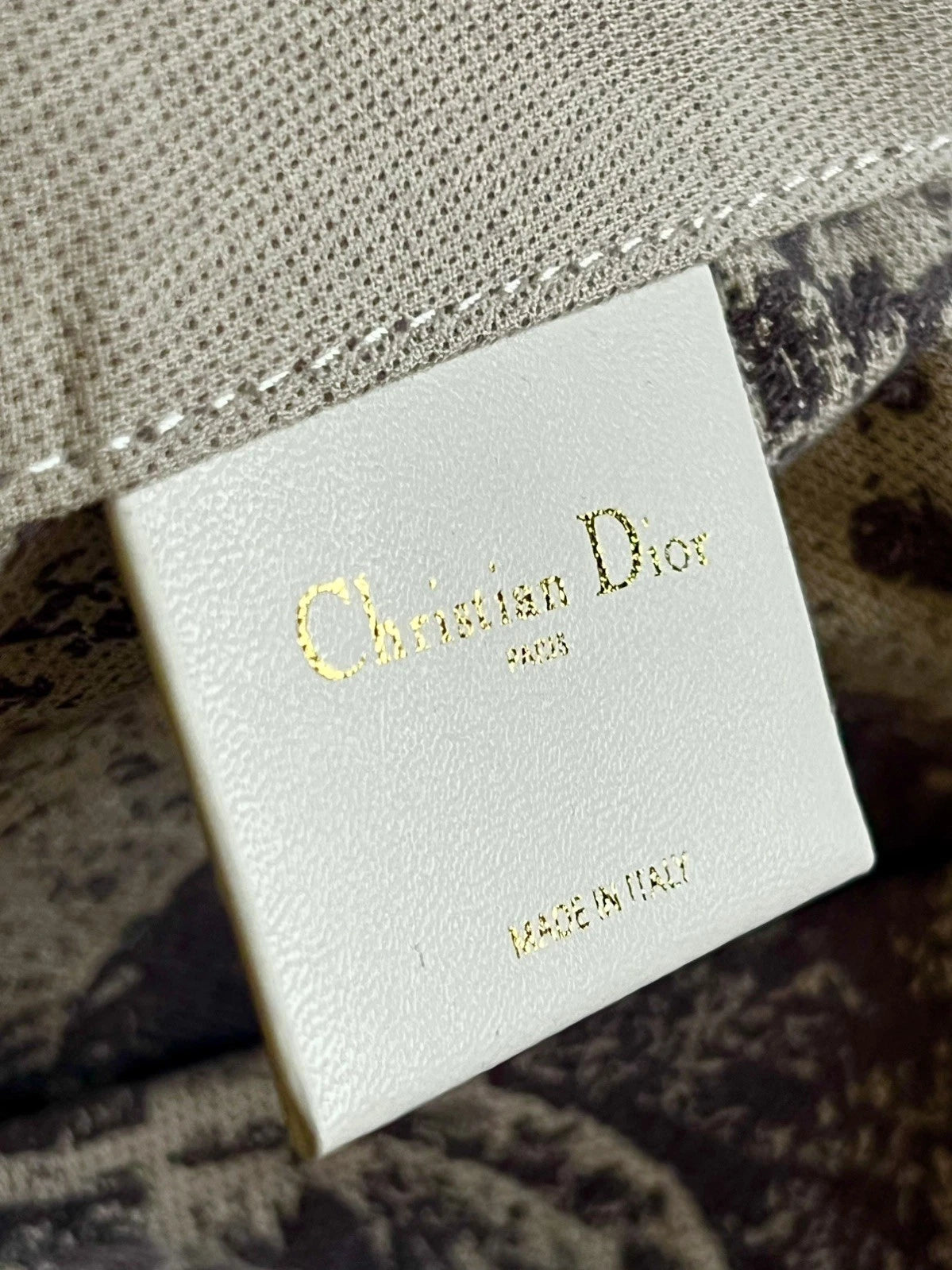Dior Tote Bag Platinum