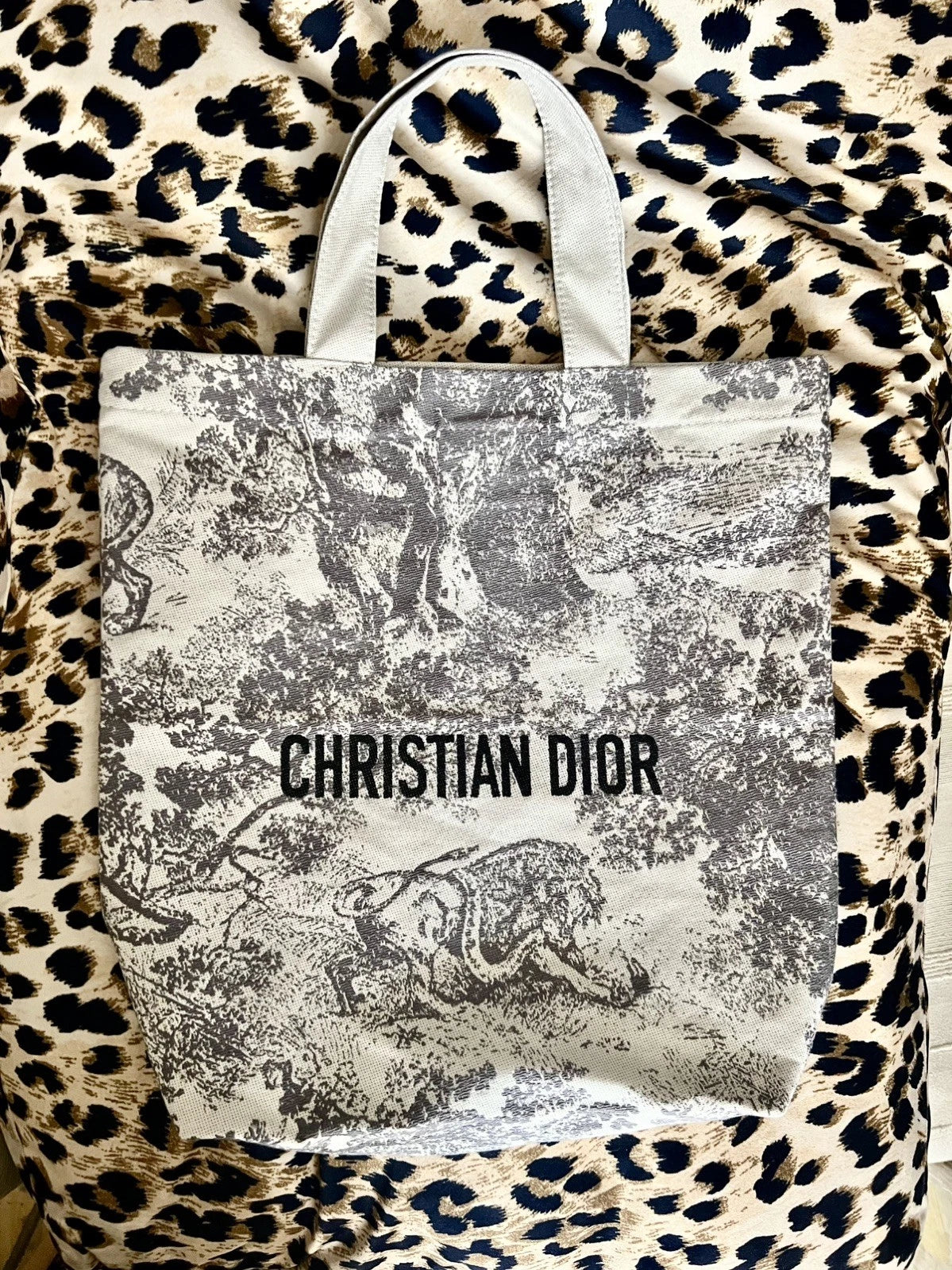 Dior Tote Bag Platinum