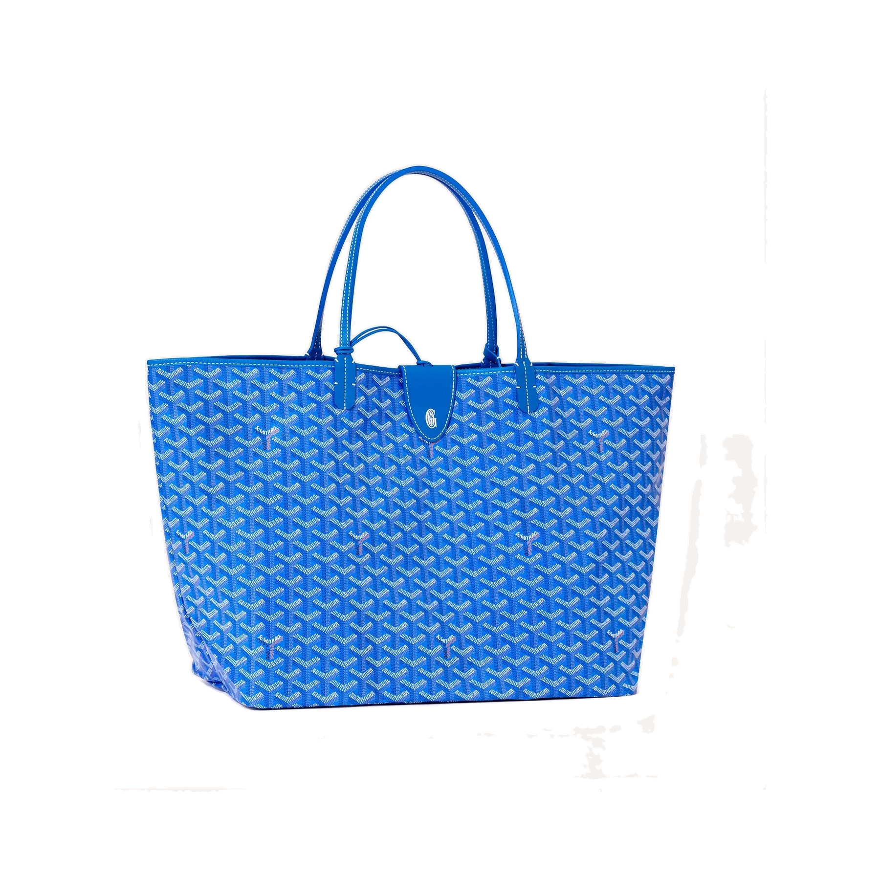 Saint Louis GM Bag