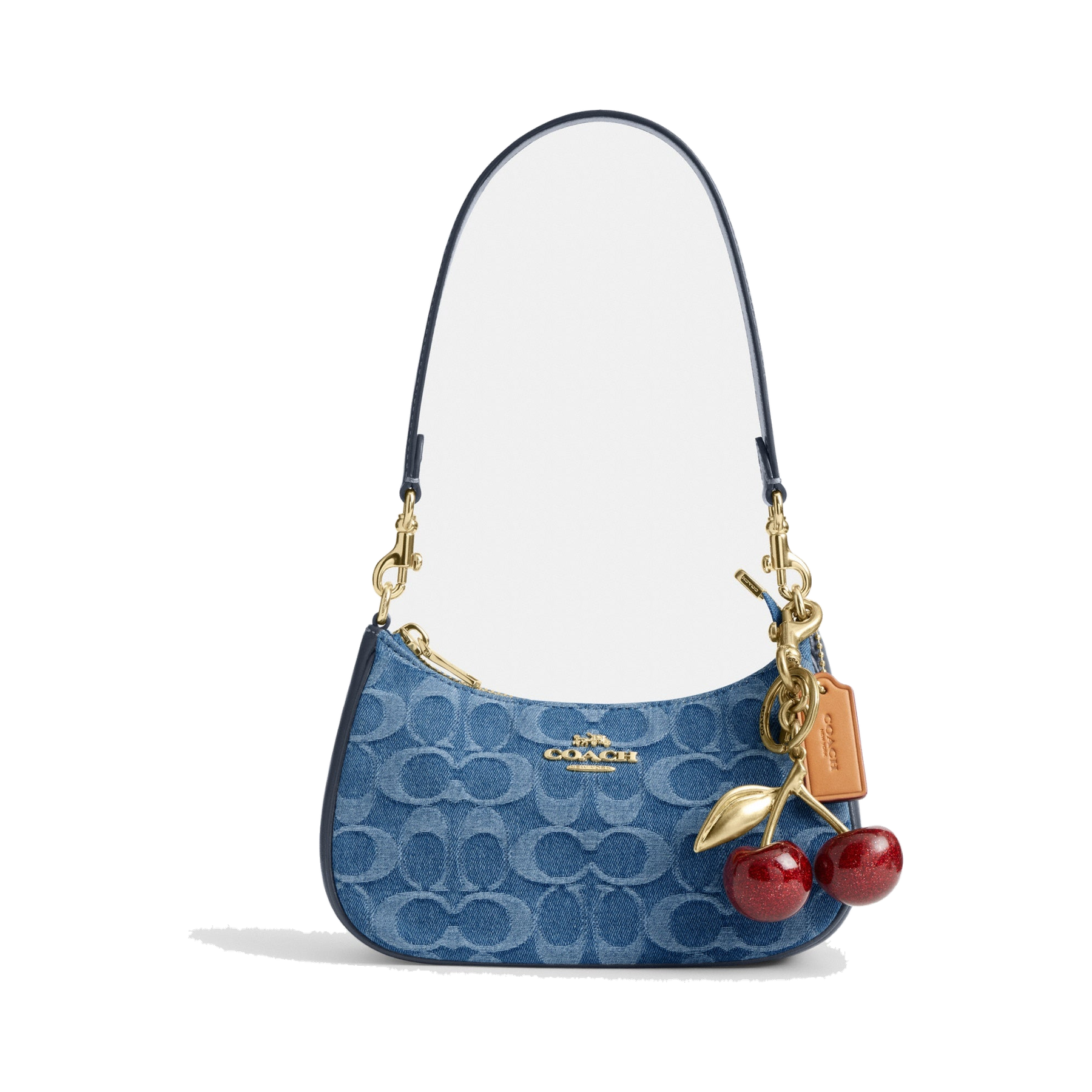 Teri Mini Crossbody Bag In Signature Denim