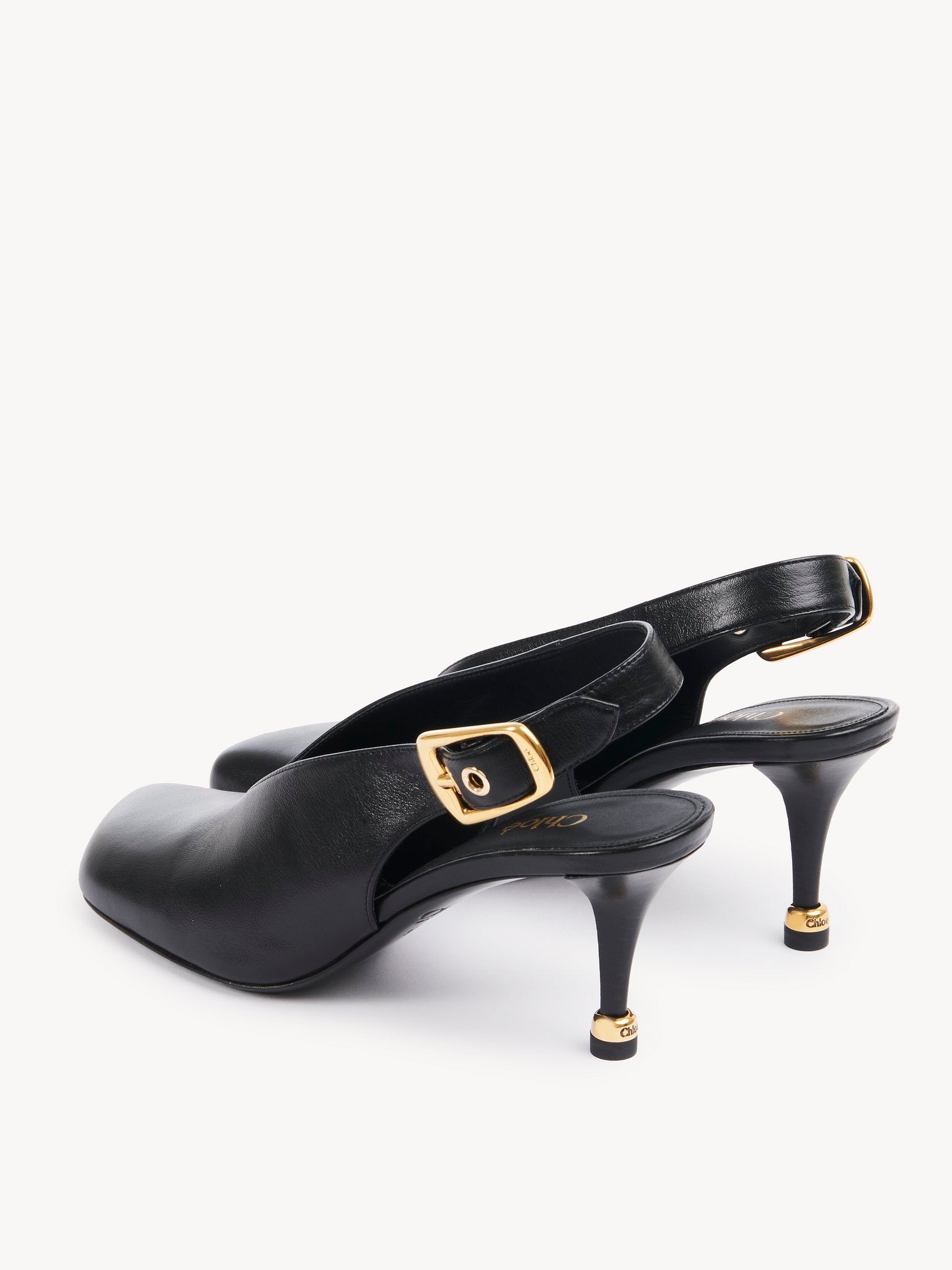 Andrea pump