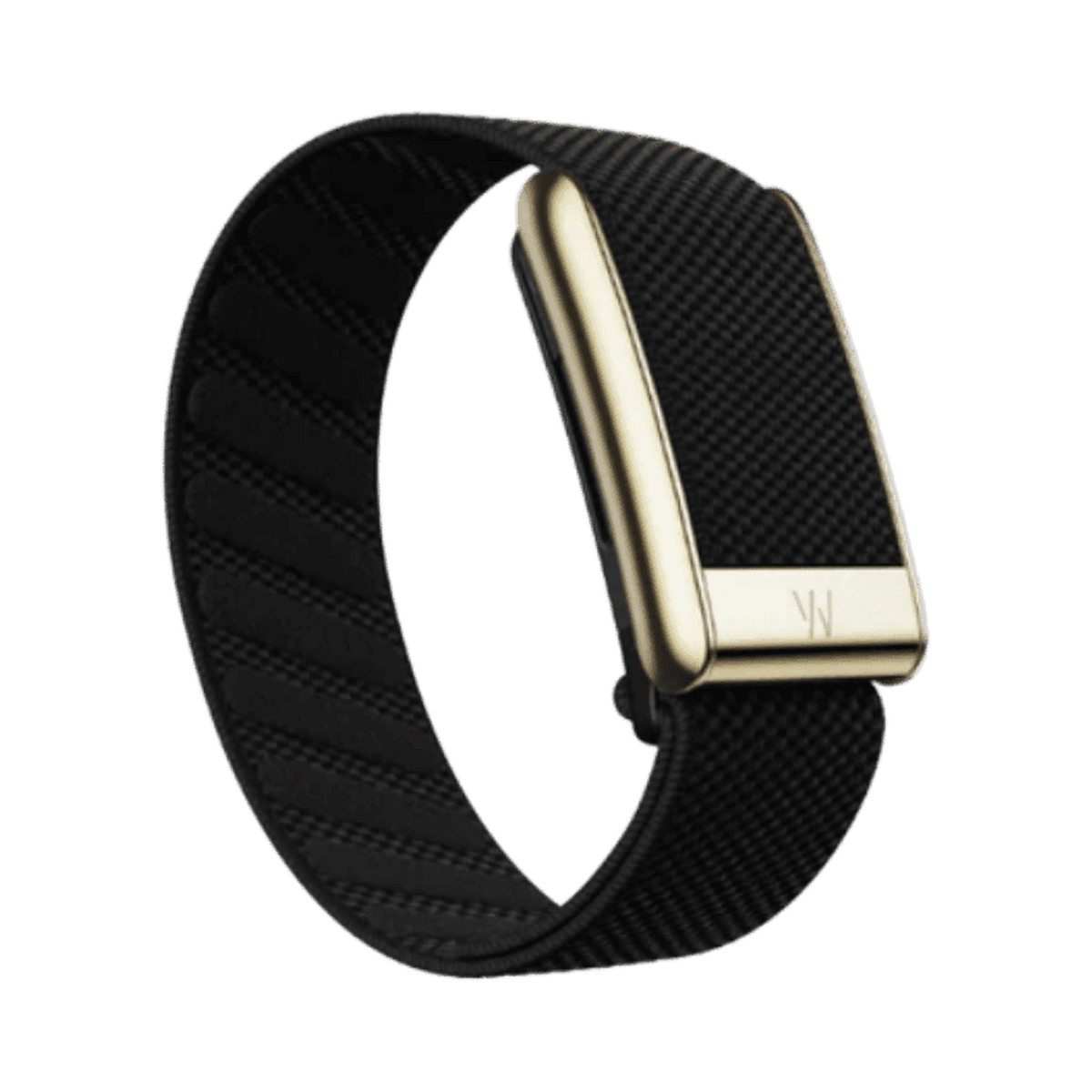 Whoop 5.0 Superknit Luxe Obsidian with Gold Band (12 Month Peak Subscription Included)