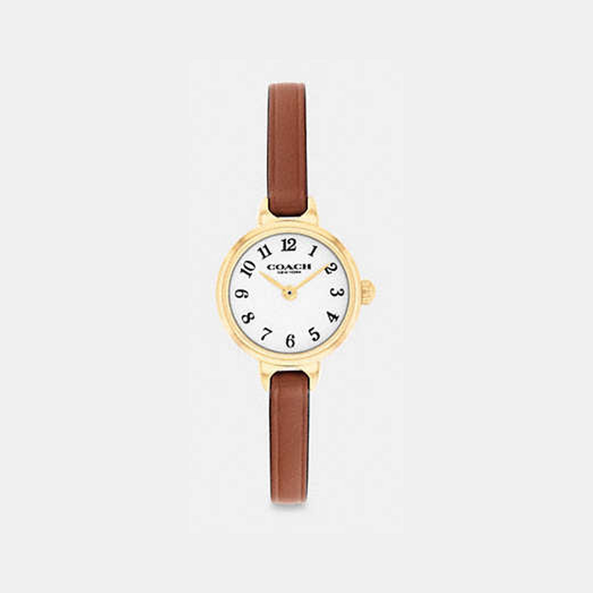 Iris Watch, 22 Mm