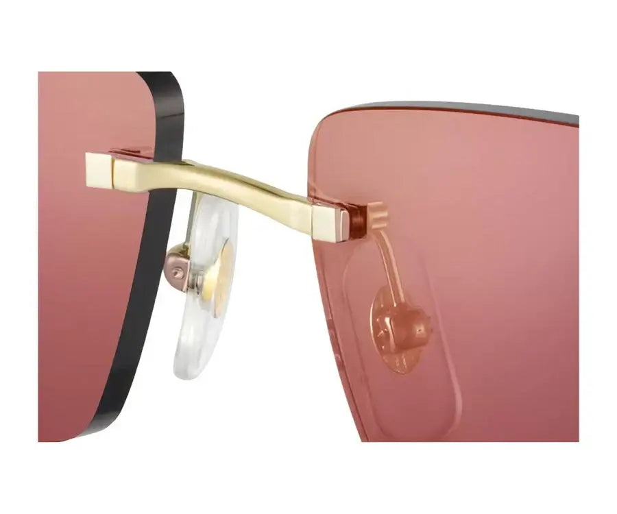 Cartier Cartier 0430S 009 58 (40th year anniversary limited edition) - Sunglasses | Shop From The Mirage