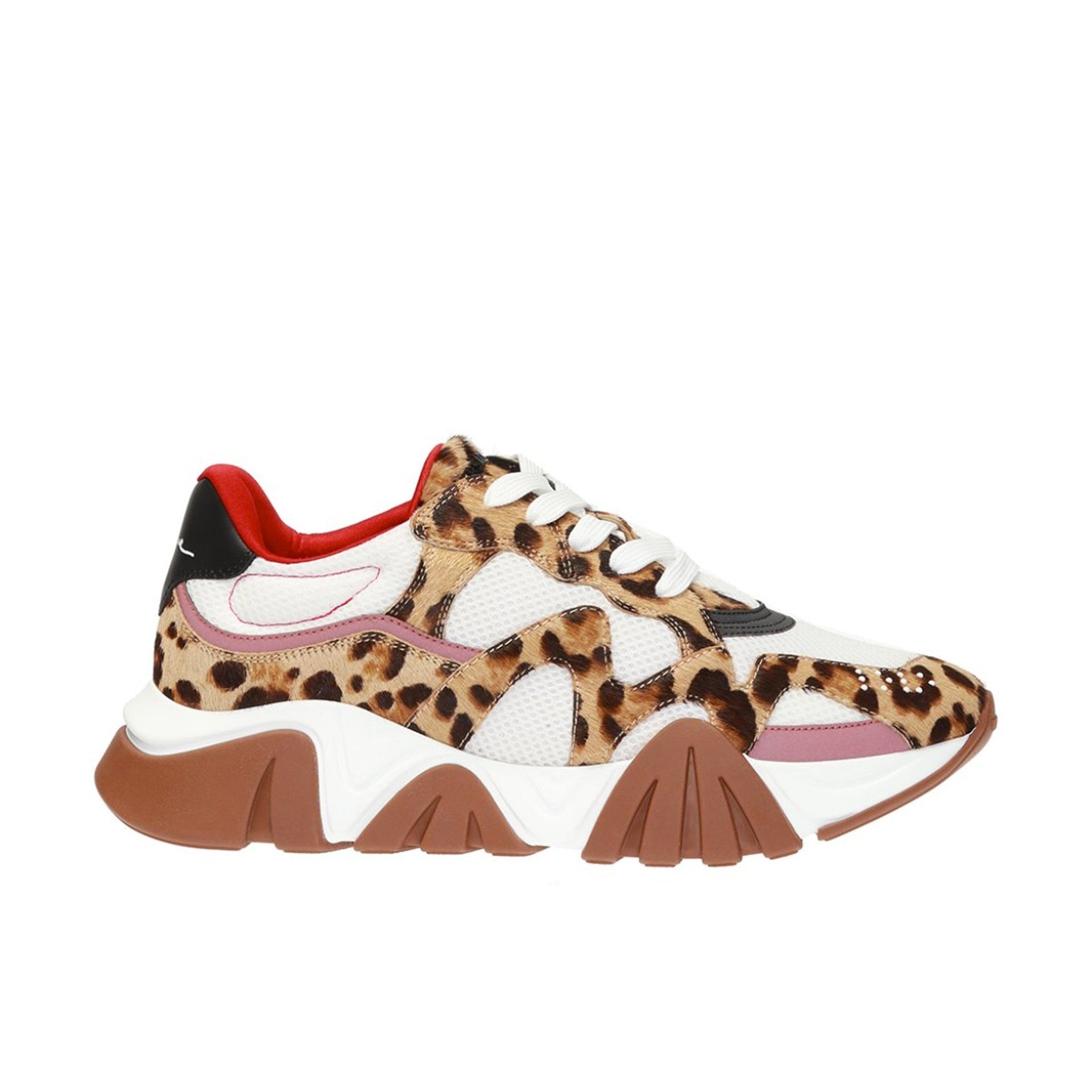 Versace Versace Squalo Leopard Sneakers