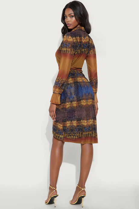 Rowan Collar Print Mesh Midi Dress - Multi Color