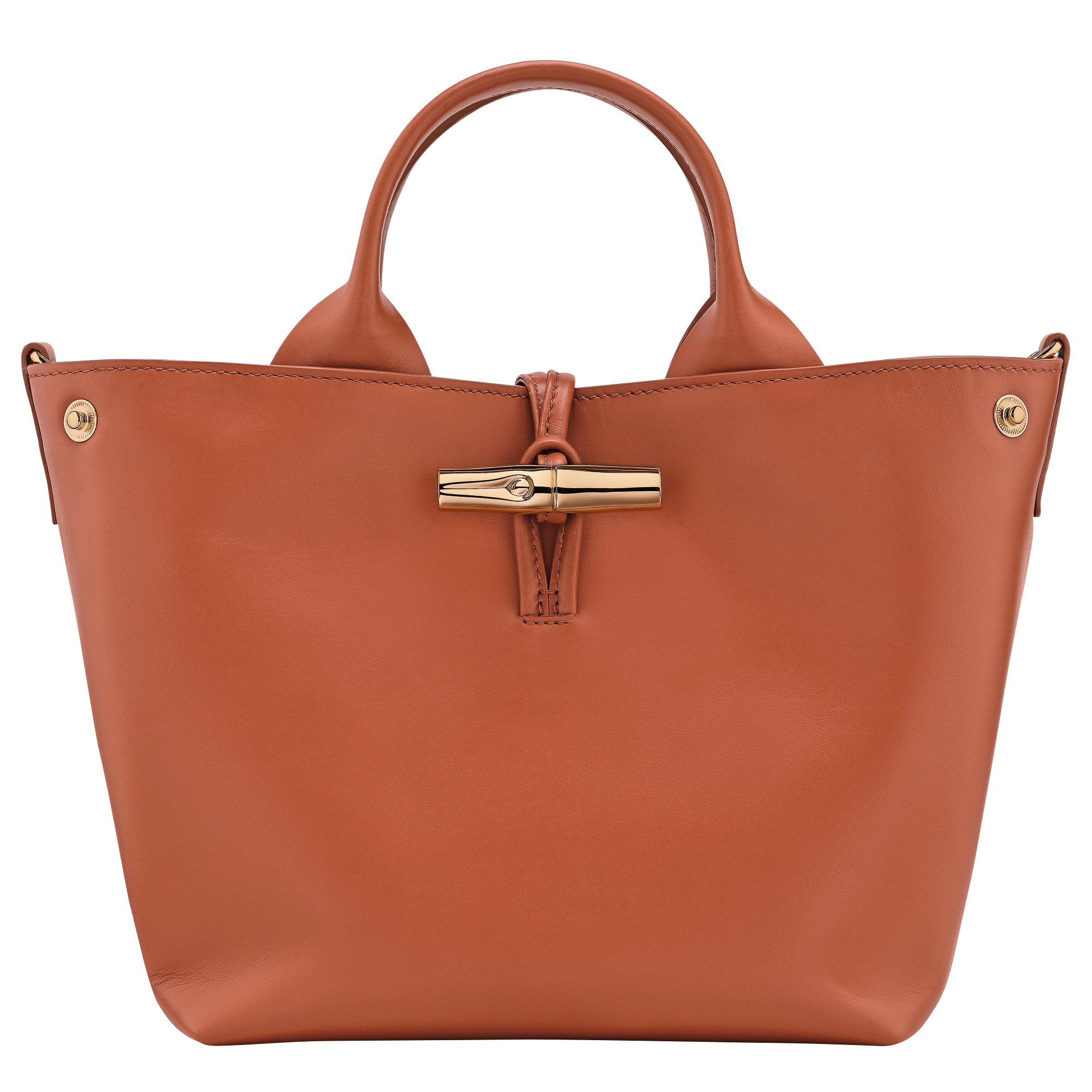 Le Roseau S Handbag Bark - Leather
