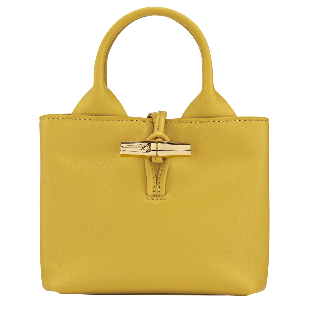 Le Roseau XS Handbag Ginger - Leather