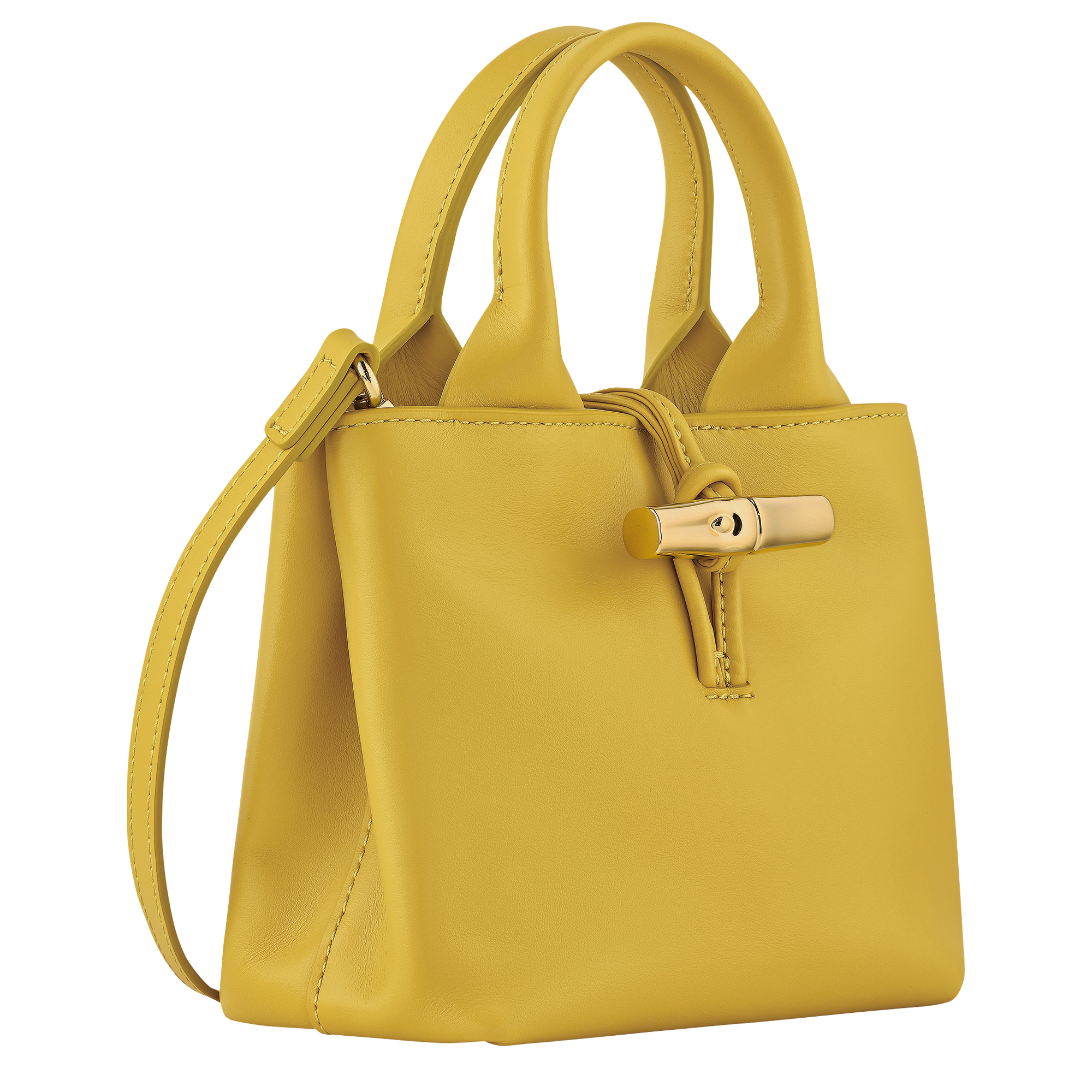Le Roseau XS Handbag Ginger - Leather