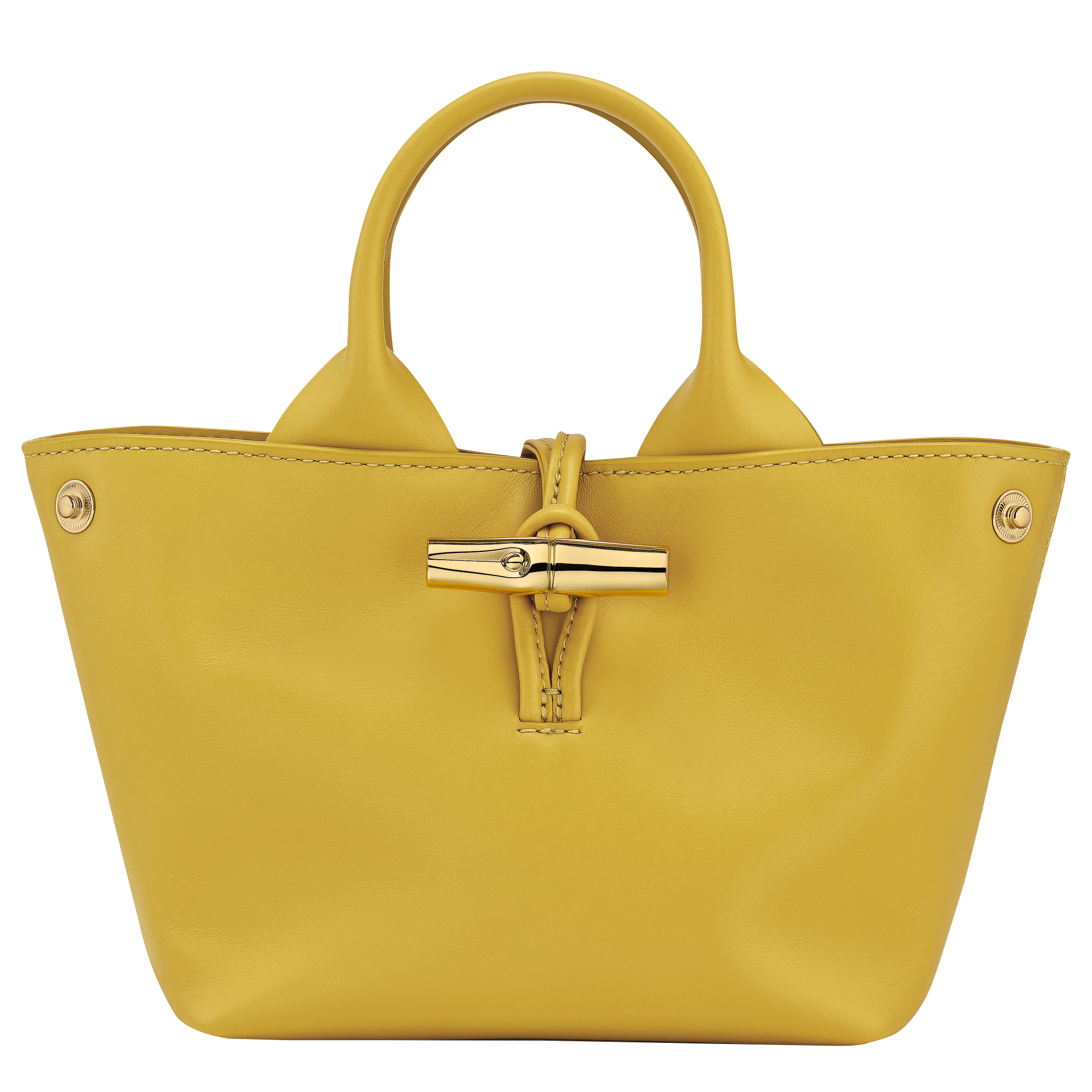 Le Roseau XS Handbag Ginger - Leather
