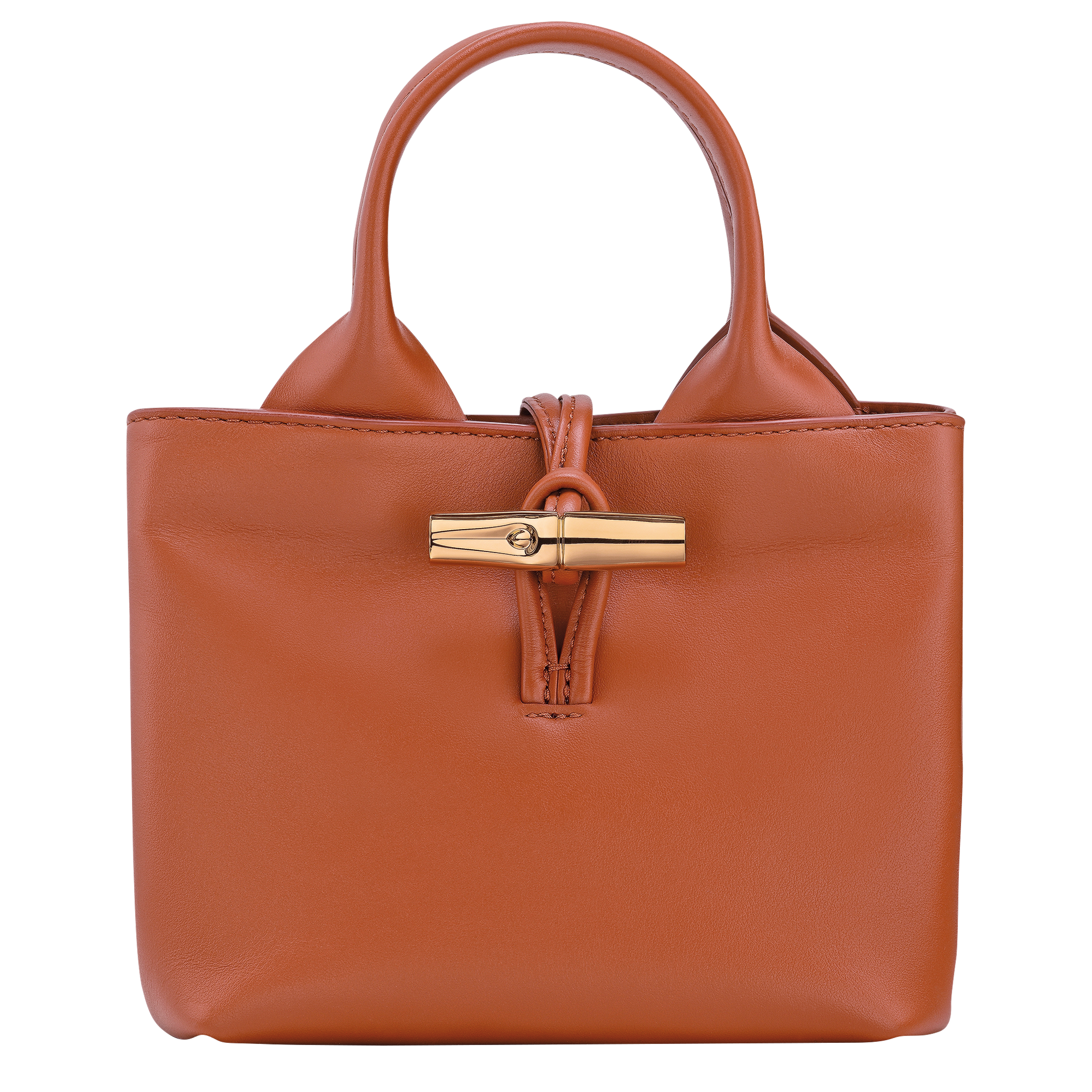 Le Roseau XS Handbag Bark - Leather