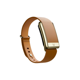 Whoop 5.0 Leatherluxe Tapered Camel with Gold Band (12 Month Peak Subscription Included)