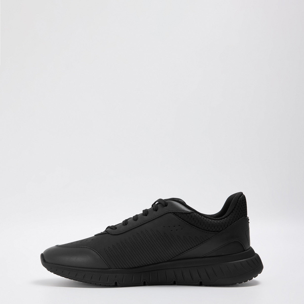Titanis Trainers