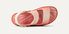 Goldenstar Glide Sunray – Convertible Comfort with a Sustainable Soul