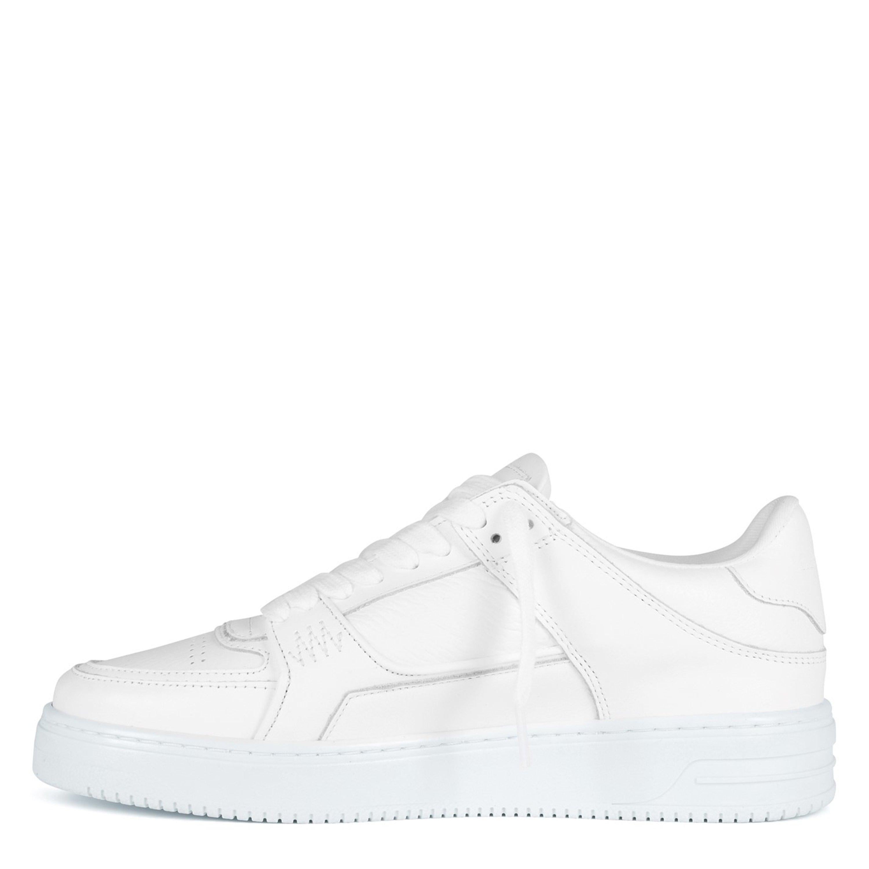 Apex Low Trainers, Two-Tone Design