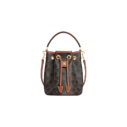 Celine Teen Clara Bag in Triomphe Canvas and Calfskin