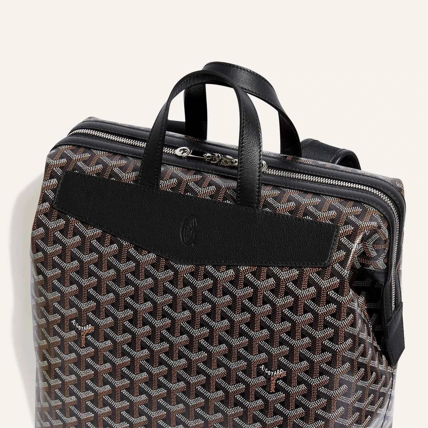 Cisalpin Backpack