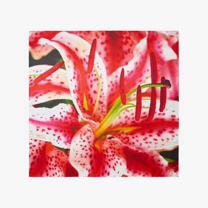 Lily Silk Square Scarf